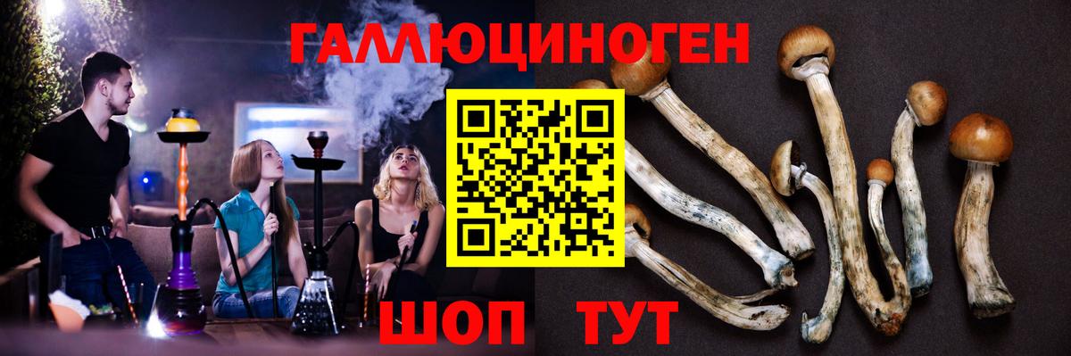 Заринск  Галлюциногенные грибы ЛСД  Псилоцибиновые грибы MAGIC MUSHROOMS  Вход с VPN 