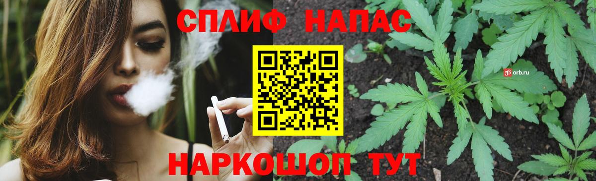 Бошки Шишки SATIVA & INDICA  Вход с VPN  Заринск  Конопля планчик  МАРИХУАНА планчик  Конопля SATIVA & INDICA 