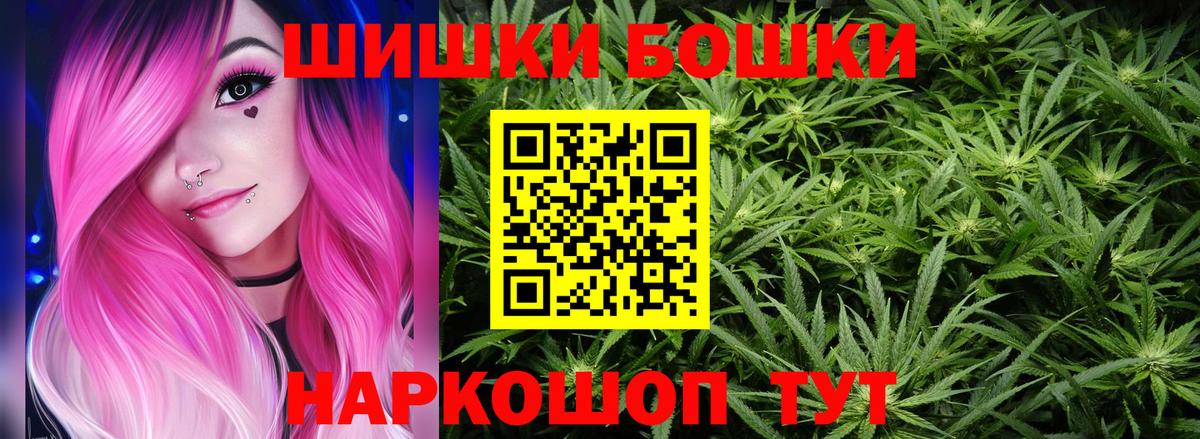 Бошки Шишки планчик Заринск